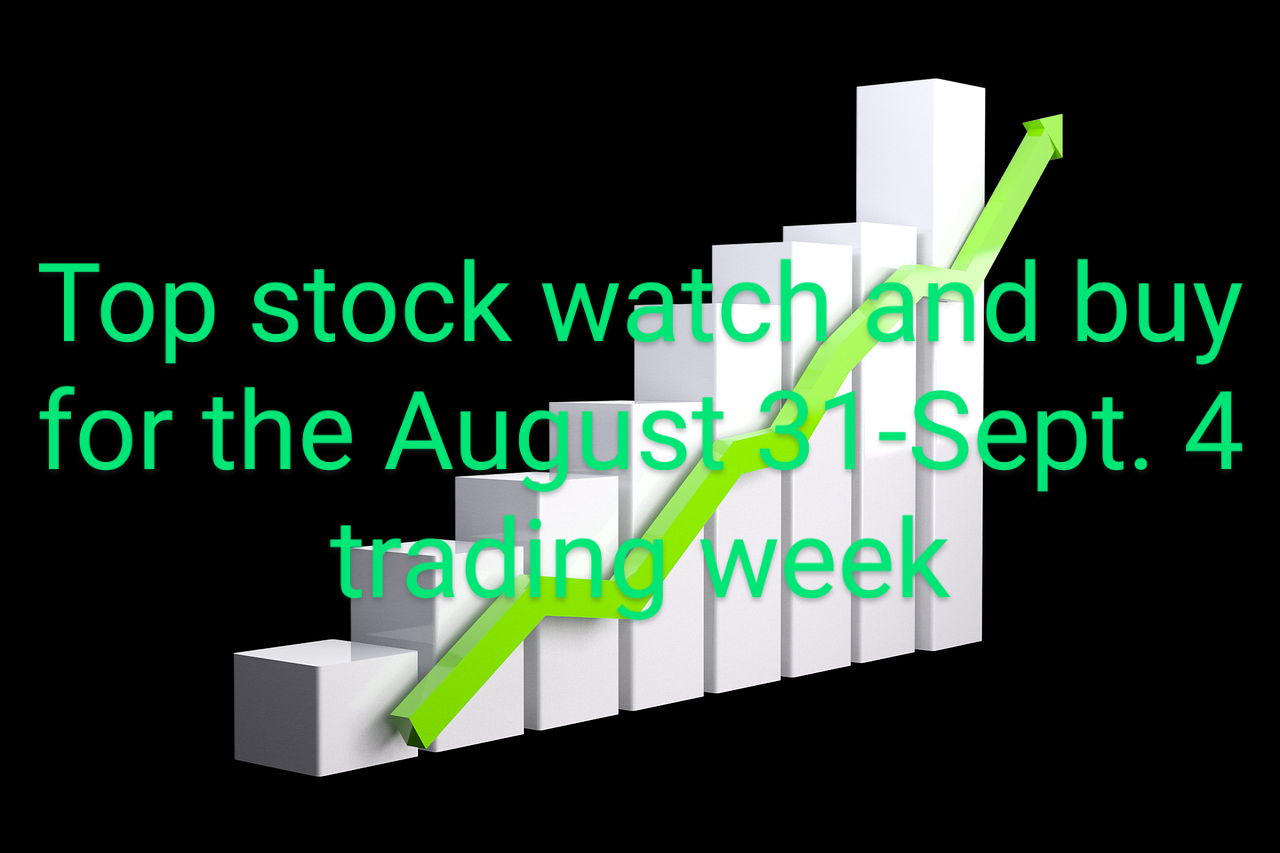 A Top Stock To Watch And Buy For The August 31- September 4 Trading Week.